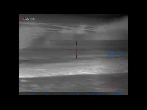 Видео: Охота на Хищника 2024 25г №25