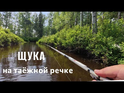Видео: Отличная рыбалка. Медведь разграбил избу. Страшная гроза.