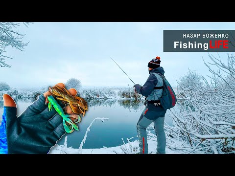 Видео: На Дворі ГЛУХОЗИМЯ, а Ми КОСИМО Щуку