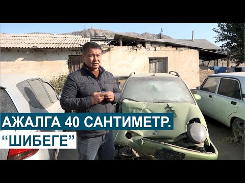Видео: АЖАЛГА 40 САНТИМЕТР//ШИБЕГЕ