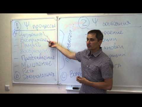 Видео: Введение в общую психологию  Лекция 1