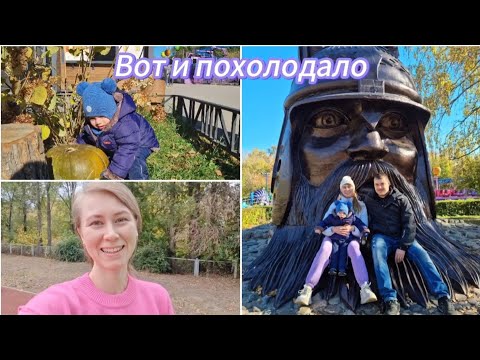 Видео: Сдала жилетку в ателье.Выбераем селёдочку на салат.Варю грибной сырный суп.Манго фест.Гуляем в парке