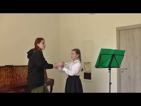 Видео: Открытый урок Ромашовой А.В. в классе флейты