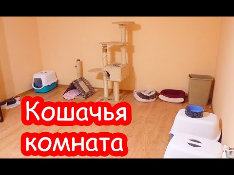 Видео: VLOG Всю ночь собиралась