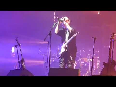 Видео: Звери В моём городе