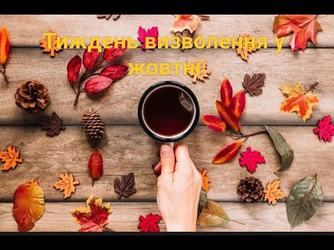Видео: Тиждень визволення у жовтні. 3 готові роботи