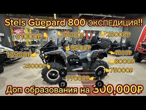 Видео: Stels Guepard 800 Экспедиция!!!
