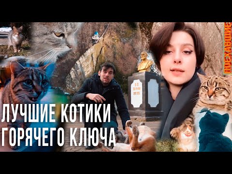 Видео: Короткий отдых в Горячем Ключе. Проект «Поехавшие»