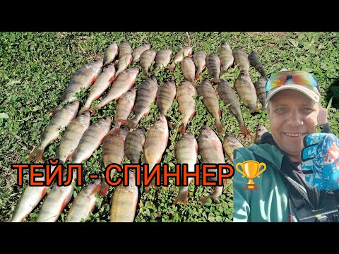 Видео: САМЫЙ УЛОВИСТЫЙ ВИД ПРОВОДКИ на ТЕЙЛ -СПИННЕР. ОКУНЬ на КАЖДОМ ЗАБРОСЕ.
