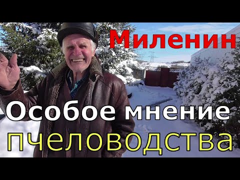 Видео: Миленин М И / Как правильно водить пчёл / Клешеводы.