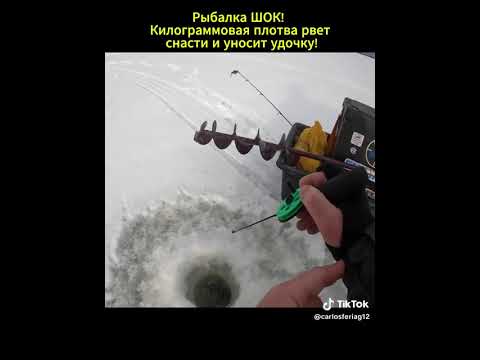 Видео: 31 октября 2025 г.