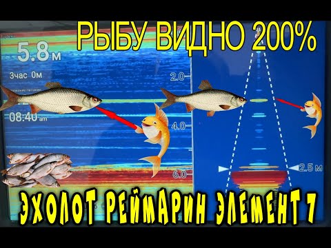 Видео: ПЕЧЕНЕЖСКОЕ ВОДОХРАНИЛИЩЕ,НАСОСНАЯ,НЕОЖИДАЛ ЧТО ОН ТАК ВИДИТ РЫБУ И    ПОКЛЕВКИ ПЛОТВЫ НА ЭКРАНЕ ?