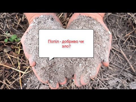 Видео: Попіл - добриво чи зло? #малина #мапема #маравілла #добрива