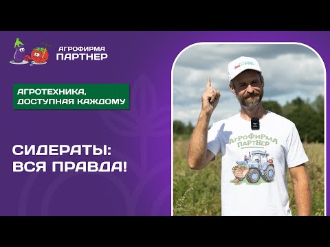 Видео: СИДЕРАТЫ ДЛЯ ОГОРОДА | Как правильно сеять и заделывать в почву