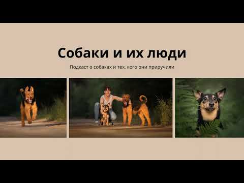 Видео: Тревожная собака и тревожный владелец. “Собаки и их люди”, сезон 2, выпуск 1: #подкаст