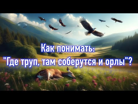 Видео: Где труп, там соберутся и орлы