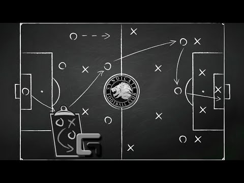 Видео: Футбол 8x8 (Схема 2-4-1)