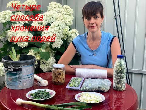 Видео: Четыре способа хранения лука порей