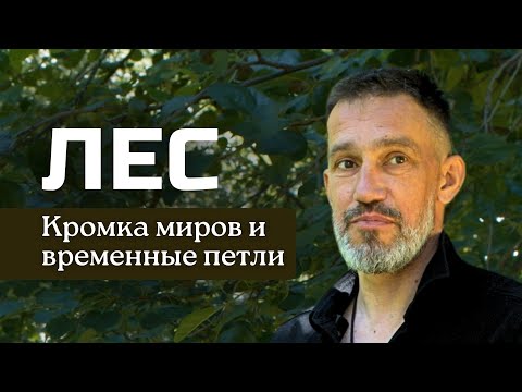 Видео: Лес — место Силы / Кромка миров и временные петли #лес #магия #левин