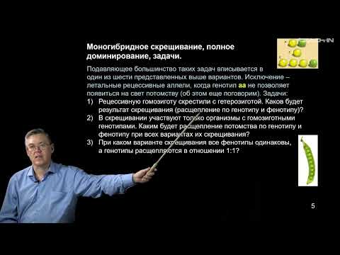 Видео: Дубынин В.А. - 100 часов школьной биологии - 2.17. Неполное доминирование. Дигибридное скрещивание