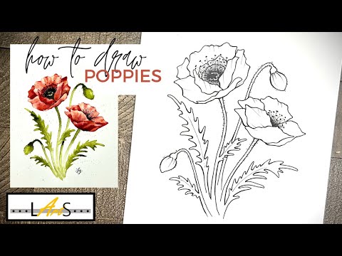 Видео: Как нарисовать реалистичный цветок мака! Как рисовать! Цветок мака! Рисунок мака! Красный цветок ...