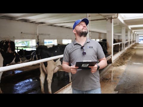 Видео: Что важно знать о вентиляции в коровниках