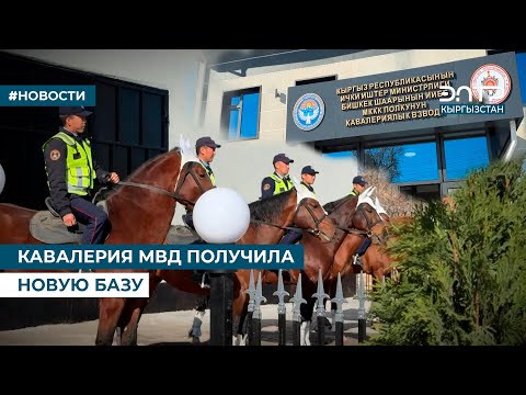 Видео: КАВАЛЕРИЯ МВД ПОЛУЧИЛА НОВУЮ БАЗУ