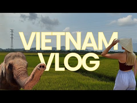 Видео: Vietnam vlog. Пробую лювак на кофейной ферме, SPA, остров Винперл.