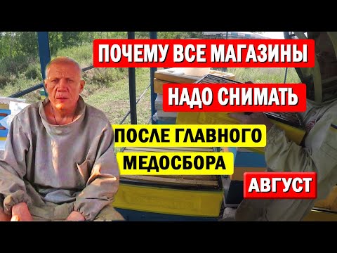 Видео: Какие Работы на ПАСЕКЕ в АВГУСТЕ? Когда убирать магазины с ульев?