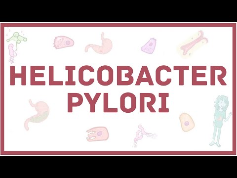 Видео: Helicobacter pylori - хеликобактер - симптомы, диагностика, лечение, микробиология