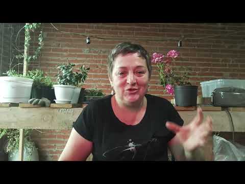 Видео:    Я сама приехала.Впечатления.