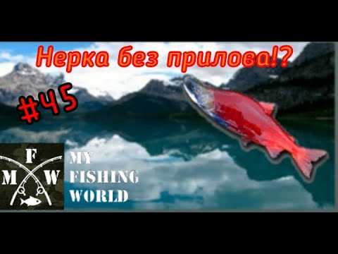 Видео: 45) My Fishing World Нерка без прилова!?