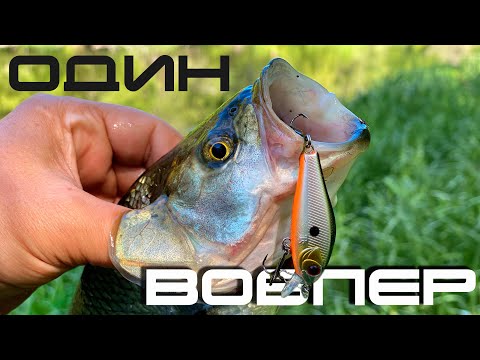 Видео: 🔴 Забрался в дикие дебри! Рыбалка на один воблер – неожиданный улов! !🔥🚀💪