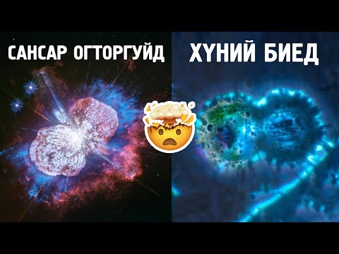 Видео: САНСАР БОЛООД ХҮНИЙ БИЕ ЯАГААД ИЙМ АДИЛХАН ЮМ БЭ?