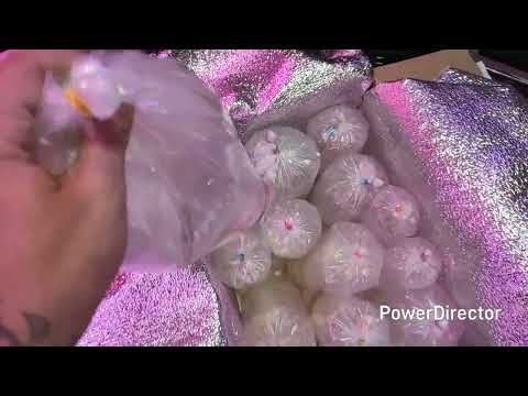 Видео: Распаковка аквариумной рыбки часть 1