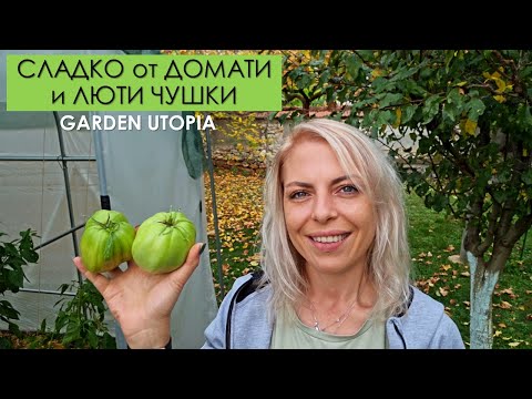 Видео: ЕКЗОТИКА - сладко от ЛЮТИ чушки и зелени домати: #Ден 62 от 90 ДНИ НА СЕЛО