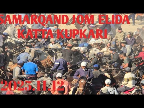 Видео: 2025.11.12.Самарқанд вилояти Нурабод тумани жом Елидан ШЕРБЕК ДОКТОРНИ купкариси