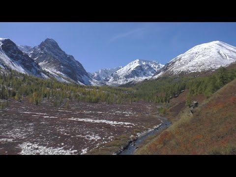 Видео: Долина реки Каракабак осенью. Ночные демоны туристических стоянок. Часть 6.