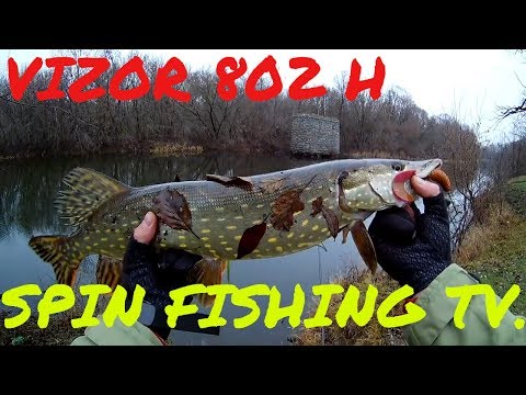 Видео: Спиннинг Favorite Vizor VZR-802H-первый взгляд.Обзор,тест,рыбалка.