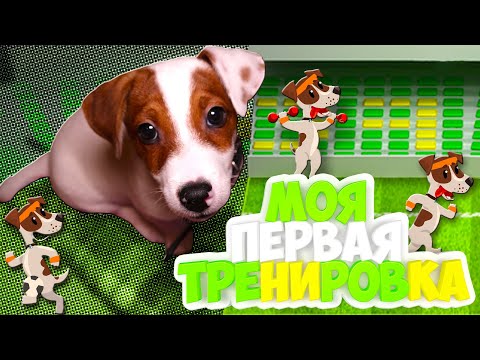 Видео: ЛОКИ БОБО моя первая тренировка 🎾 Играю с мячом 🐾 Влог - 13 серия