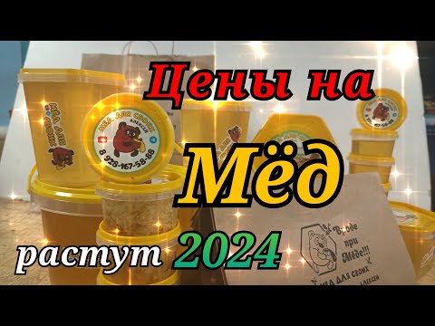 Видео: ЦЕНА НА МАЙСКИЙ МЁД 2024 / Ростовская область.