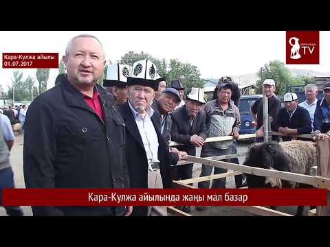 Видео: Кара-Кулжа айылында жаңы мал базар