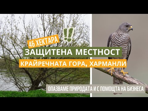 Видео: Крайречната гора на река Марица - новата защитена територия край Харманли