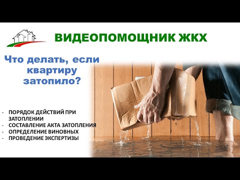 Видео: Что делать если квартиру затопило?
