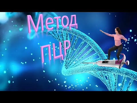 Видео: Урок 18 | Метод ПЦР