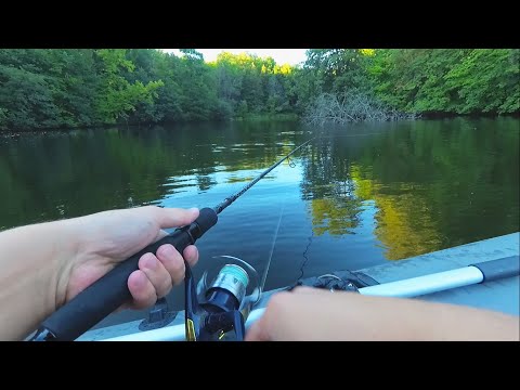 Видео: РЫБАЛКА НА СПИННИНГ ОСЕНЬЮ 2020!Ловля окуня в сентябре!