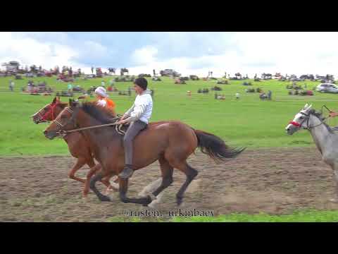 Видео: Ауылымыздың әдемі көрінісі. Сұңқар ауылы.