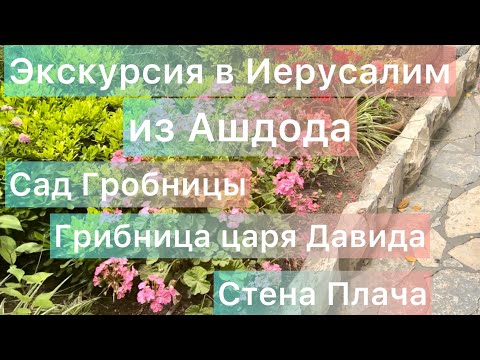 Видео: Ашдод Иерусалим Сад гробницы Гробница царя Давида Стена Плача #израиль #экскурсия #ашдод