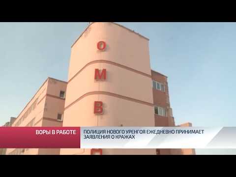 Видео: Полиция Нового Уренгоя ежедневно принимает заявления о кражах