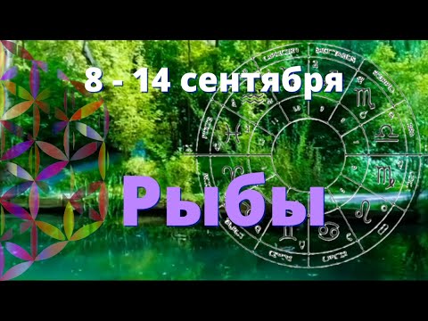 Видео: РЫБЫ ♓️Прогноз таро на неделю с 8 по 14 сентября.